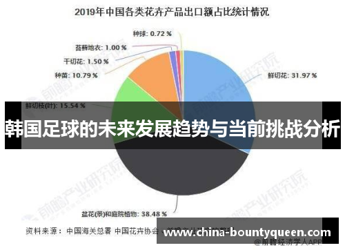 韩国足球的未来发展趋势与当前挑战分析