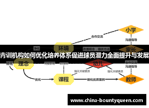青训机构如何优化培养体系促进球员潜力全面提升与发展