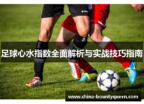 足球心水指数全面解析与实战技巧指南 足球心水指数全面解析与实战技巧指南