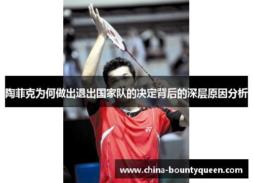 陶菲克为何做出退出国家队的决定背后的深层原因分析