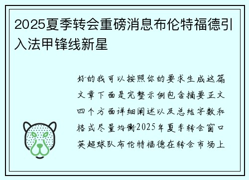 2025夏季转会重磅消息布伦特福德引入法甲锋线新星